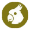 UCK